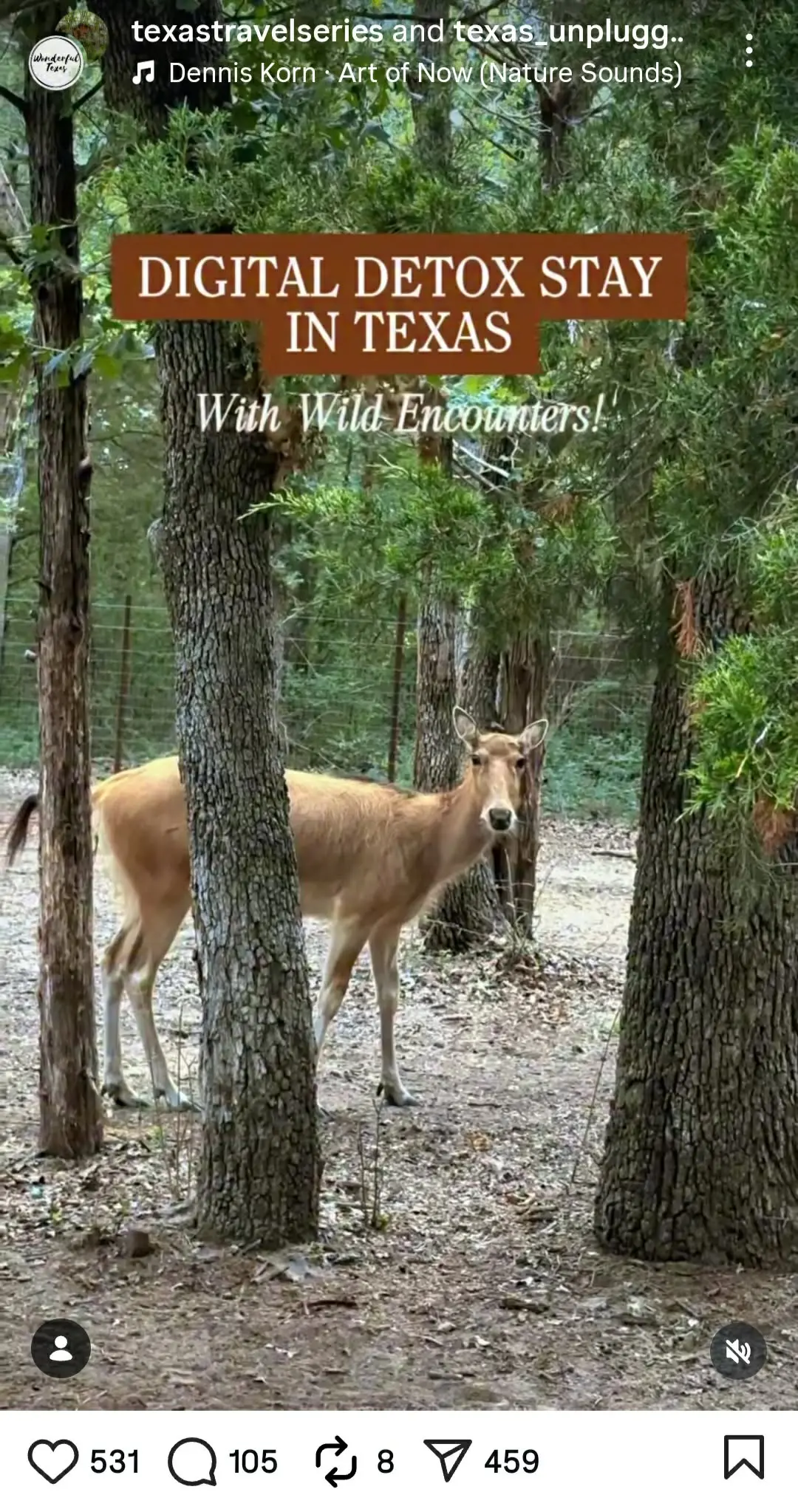 Short-form Reels for Texas Travel Series and MyCurlyAdventures
